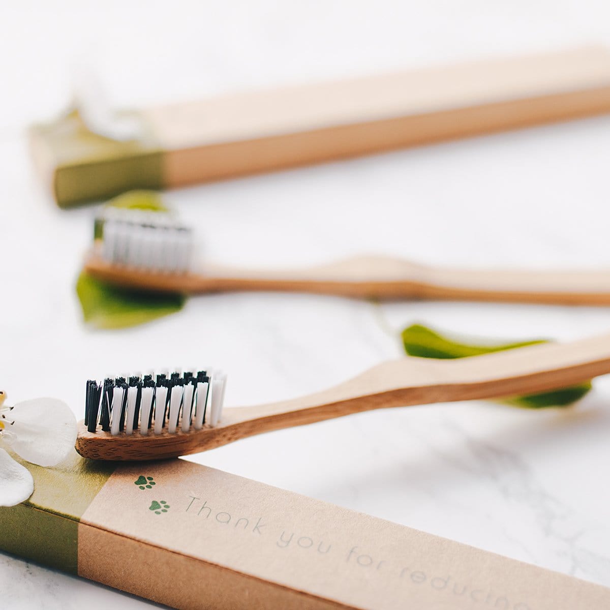Bambus Zahnbürsten | Zero Waste | Plastikfrei