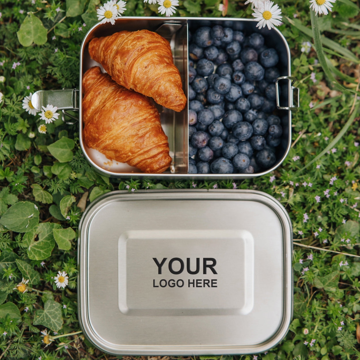 Metal lunch box with croissants and blueberries on a grassy background