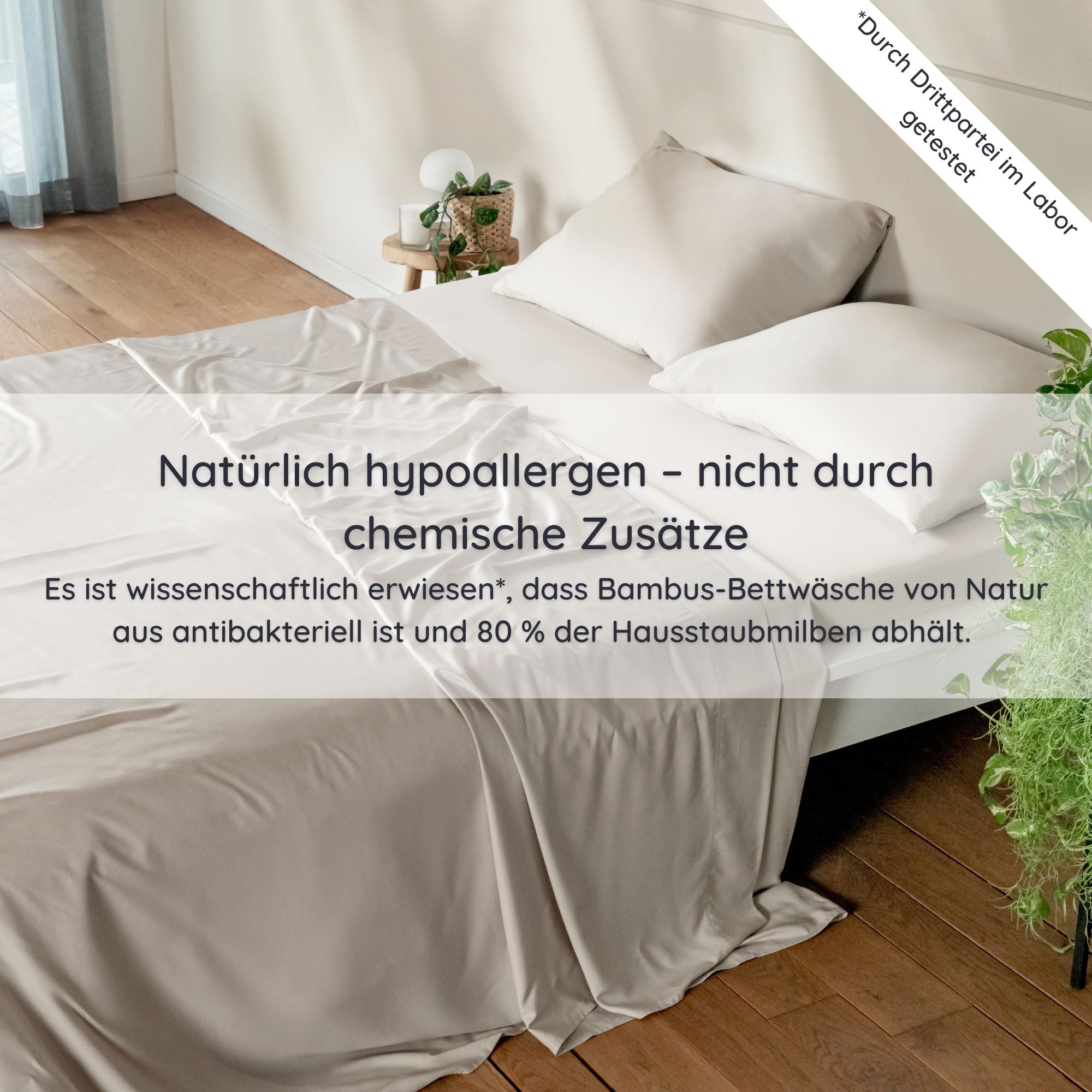Bed with sand bedding in a room with wooden floor and plants