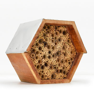 Solitary Bee House